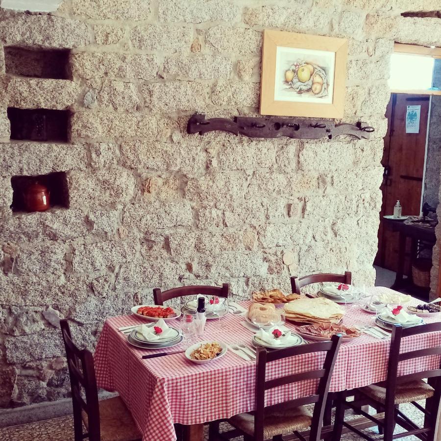 Antichi Sapori Da Speranza Villa Gavoi Exteriör bild
